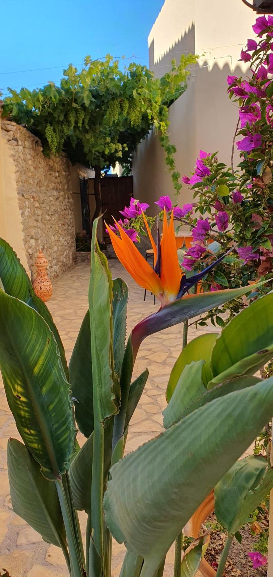 Appartamento El Jardin Secreto Oria Esterno foto